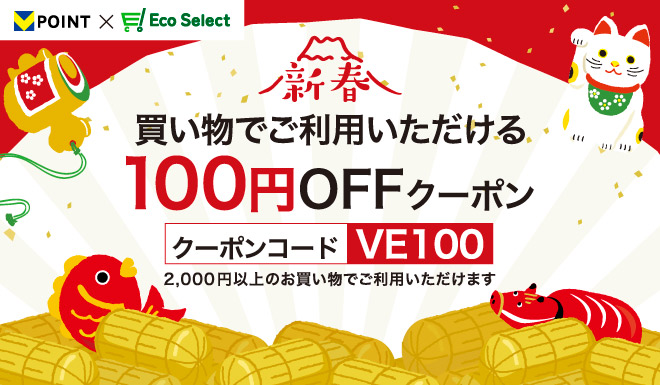 100円OFFクーポン